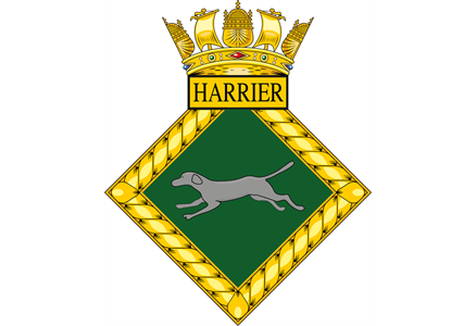 Milford Haven Sea Cadets & Royal Marines Cadets