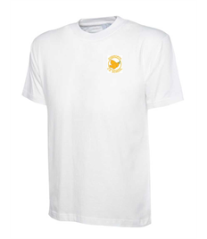 Diseworth Embroidered Junior PE T-Shirt