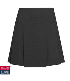 Drop Waist Pleated Skirt Adult size