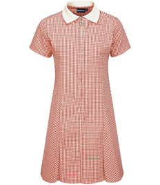 Gingham Dress Age 7-8 Red 