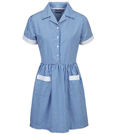 Gingham Dress Age 5/6 Blue 